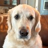 Jeff W 🇺🇸🙏 🇺🇸's profile picture