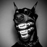 AX's profile picture