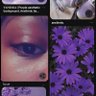 Tulip🌷_Diva profil fotoğrafı