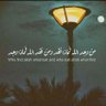 Ahmedramez Osman's profile picture