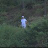 Golf Enthusiast's profile picture