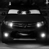 CDT 1.5dCi's profile picture
