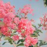 Фото профиля ساره حسن