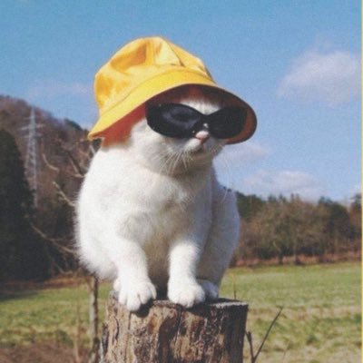 _portamivia_'s profile picture