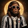 yolo's profile picture
