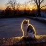 GH •'s profile picture