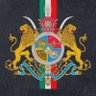👑ایراندیار🇮🇷 的头像