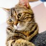 Profilbild von ヒデキ