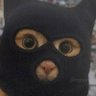Profilbild von Tuba