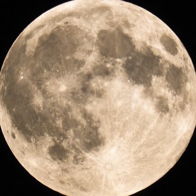 prrtygone's profile picture