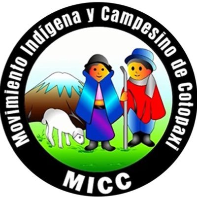 Micc_Ec's profile picture