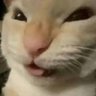 Profilbild von Red