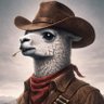 Profilbild von Boxiestllama