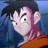 Profilbild von Son Gohan 飯
