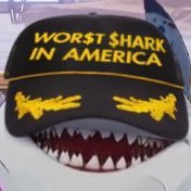 HALOVlAN's profile picture