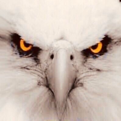 BeerCan45's profile picture