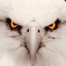 The Vigilant 🟢🙏4🇺🇸🦅's profile picture