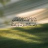 فرح 的头像