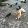 第６天魔王 的头像