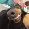 🐭 rata camponesa's profile picture