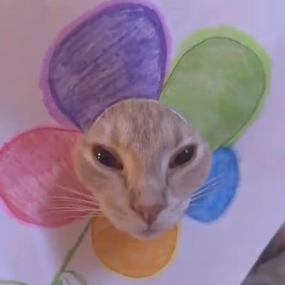 elcoooke's profile picture