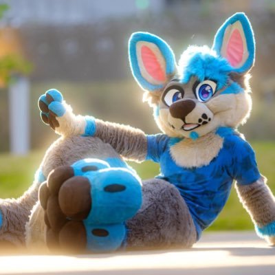 Kangazeroo's profile picture