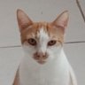 errrrrrrrrrrr profil fotoğrafı
