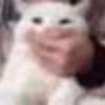 Profilbild von Bianca crystal
