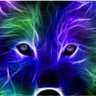 Marko Filipovic's profile picture