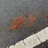 Фото профиля 人間観察