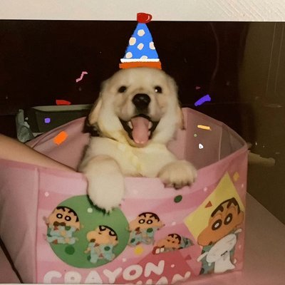 Bioeyours's profile picture