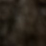 ITzD's profile picture