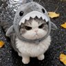 Profilbild von zpt
