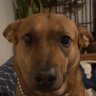 Profilbild von Junkman