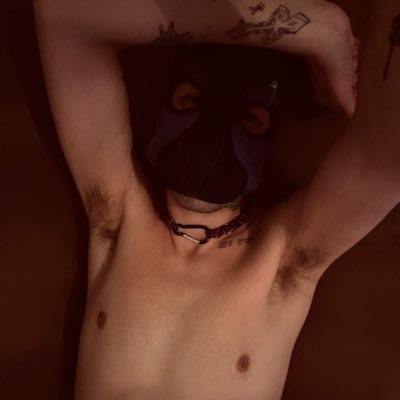 Dogy_pitou's profile picture
