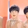 serine's profile picture