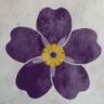 Gayané/Գայանե 🇨🇵🇦🇲 #StopArmenianGenocide's profile picture