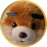 Profilbild von KaKu