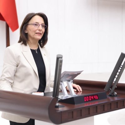 AliyeErsever's profile picture