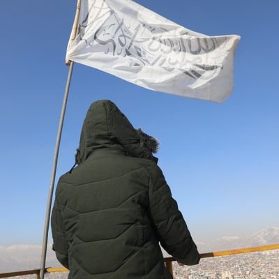 محمد عمر شهیدیار's profile picture