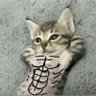 Profilbild von Mg
