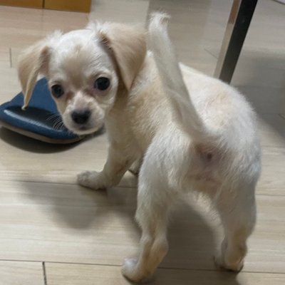 Hikaru429k's profile picture