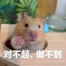 Фото профиля 用户名正在输入