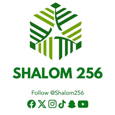 Shalom256clips's profile picture