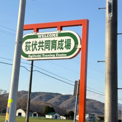 Ogifushikyoudou's profile picture