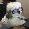 Tsar Blyatman's profile picture