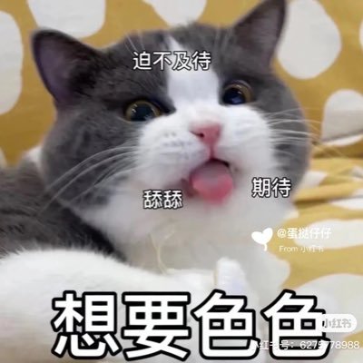 blushy00's profile picture