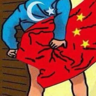 NabijanAlaAli's profile picture