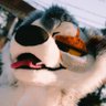 Ritz 𓃦 ➡️ FBL's profile picture
