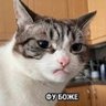 Vsraty_zogolovok profil fotoğrafı